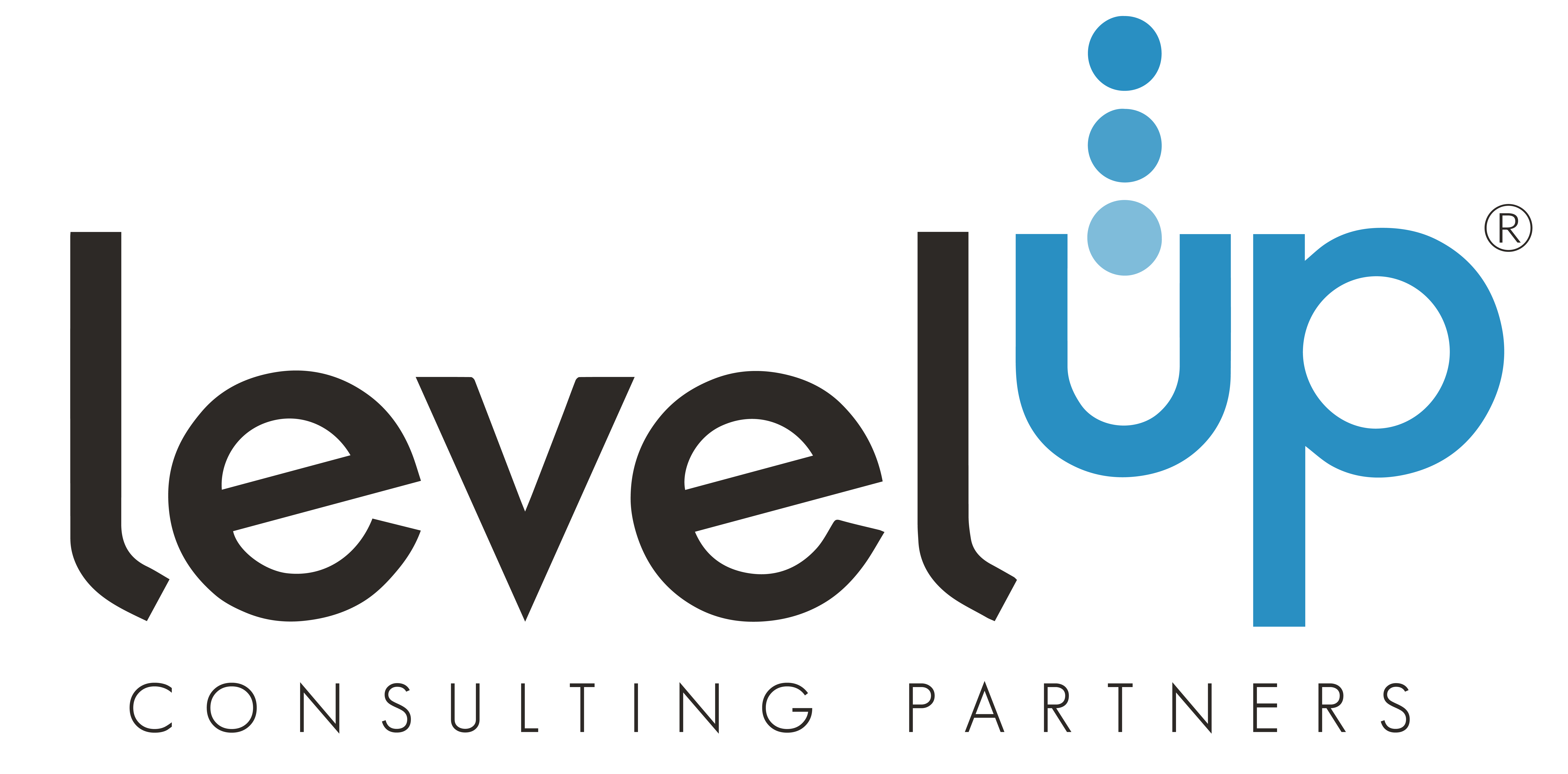 LevelUP_ConsultingPartners_-06-1